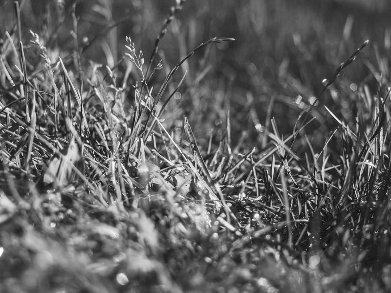 sudoku tricks screenshot 4